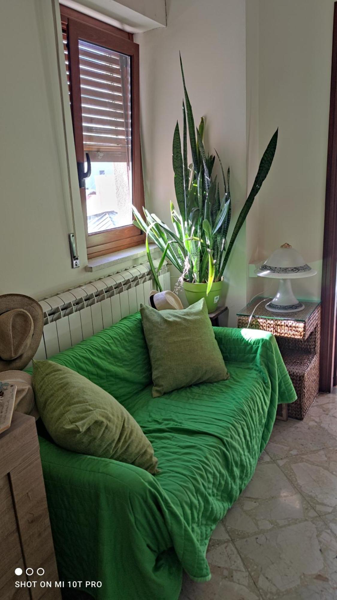 Magione Apartment&Rooms 巴勒莫 外观 照片